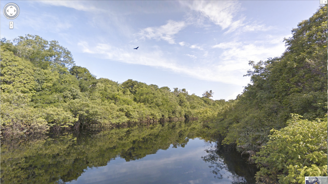 Amazon Rio Negro Google